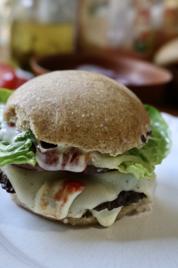 portrait of fully assembled hamburger