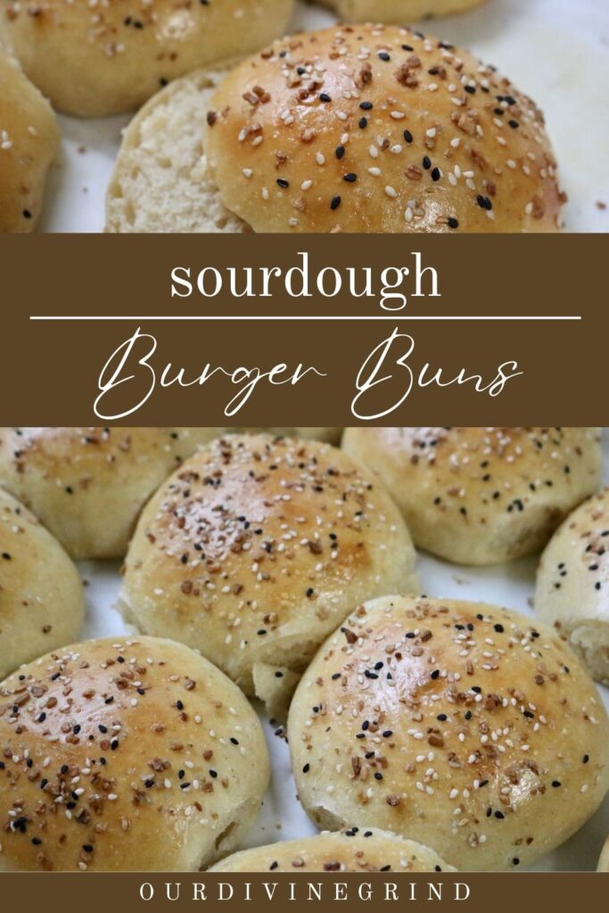 sourdough burger buns pin