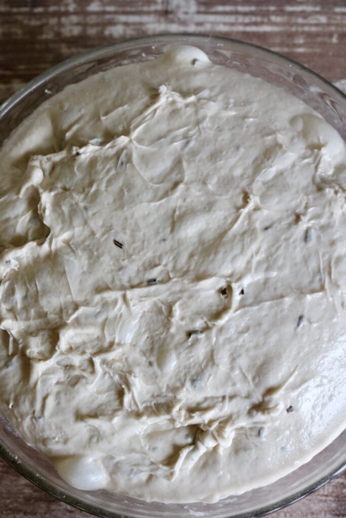 bubbly dough in a bowl