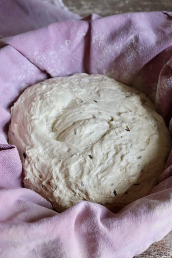 ball of dough in a bowl lined with a purple tea towel