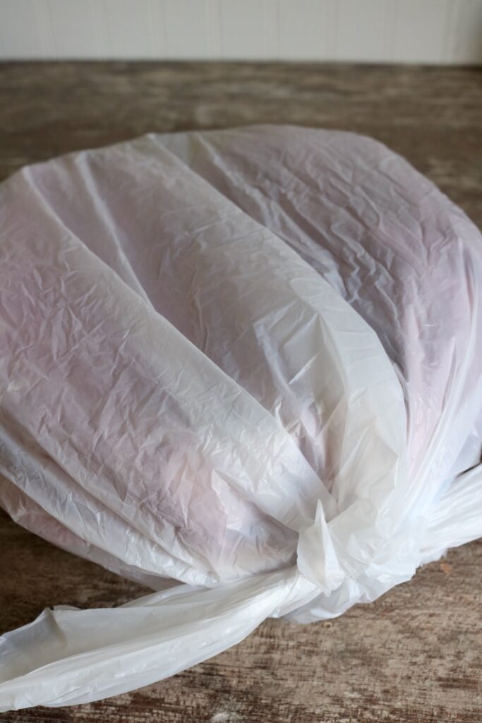 bowl in a plastic grocery sack