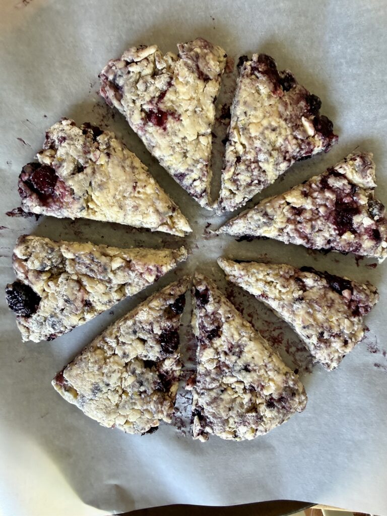 8 unbaked blackberry scones on parchment paper