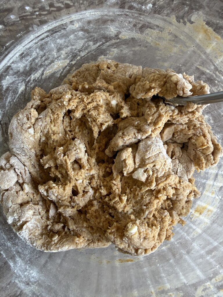 sourdough pumpkin scone douugh